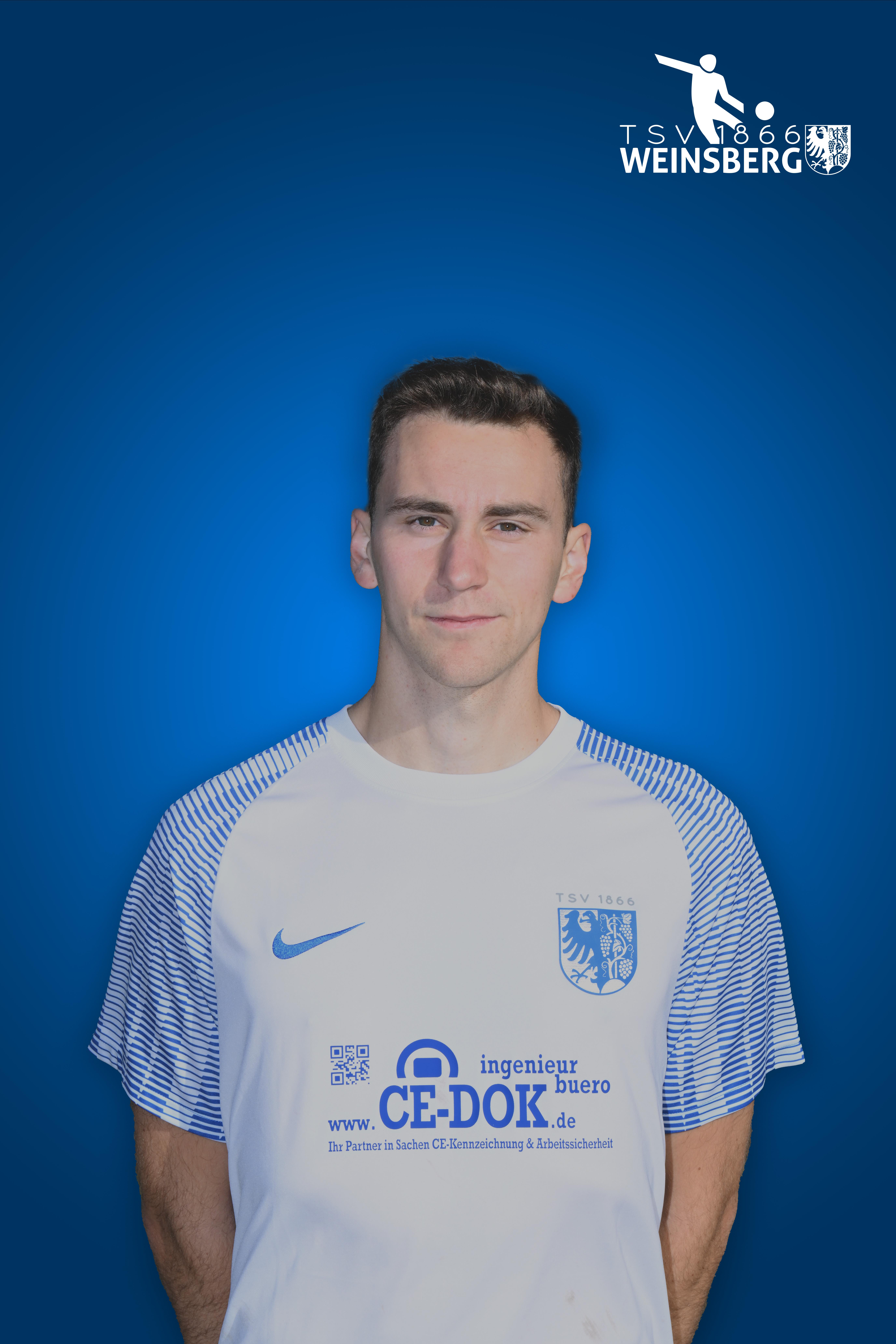 steven portrait logo